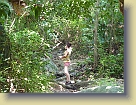 Colombia-Tayrona-National-Park-Sept2011 (176) * 3648 x 2736 * (5.23MB)